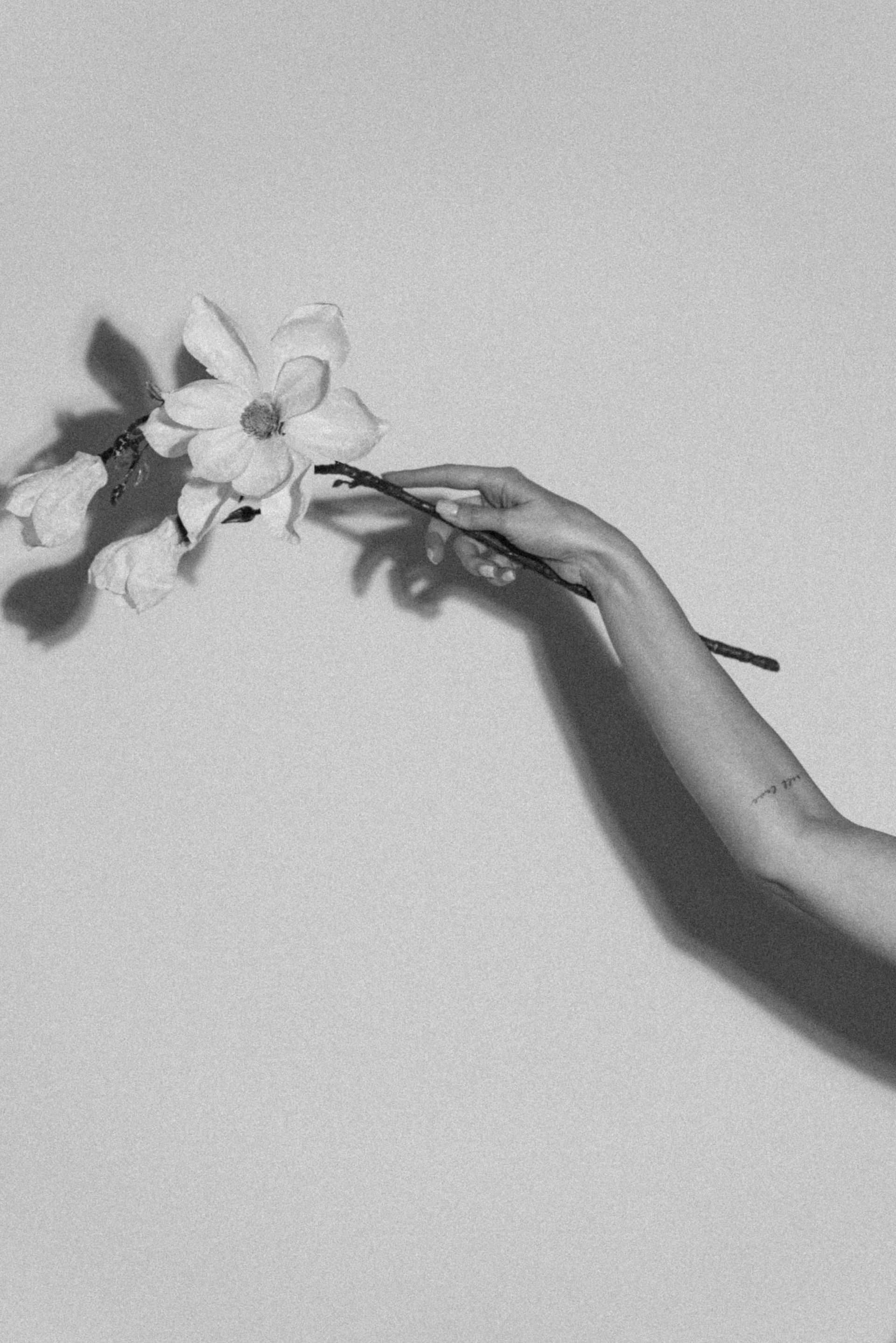 Hand holding a delicate flower branch in black and white photo.
